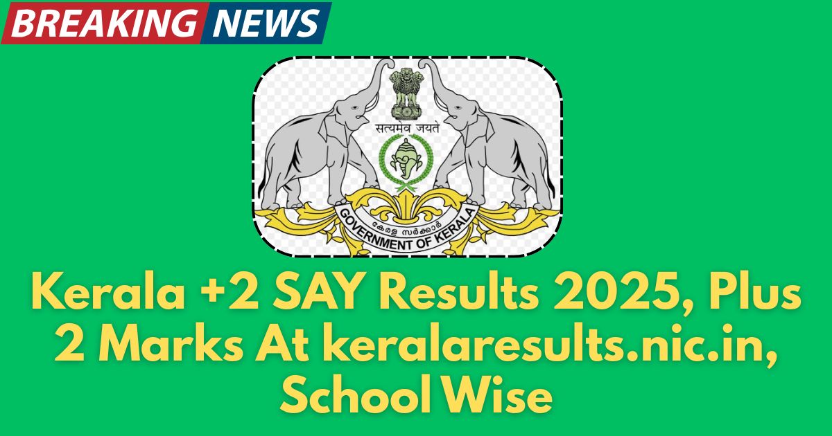 Kerala +2 SAY Results 2025, Plus 2 Marks At keralaresults.nic.in